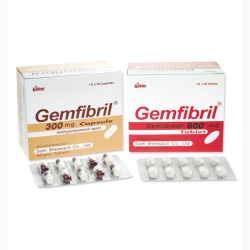 GEMFIBROZIL CAP 300 MG 100 UNITS GEMFIBRIL SIAM BHAESAJ CO