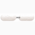 PARACETAMOL CAPLET 500 MG 100 UNITS A-MOL SIAM BHAESAJ CO