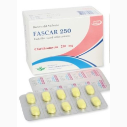 CLARITHROMYCIN FILM-COAT TB 250 MG 10 UNITS FASCAR UNISON